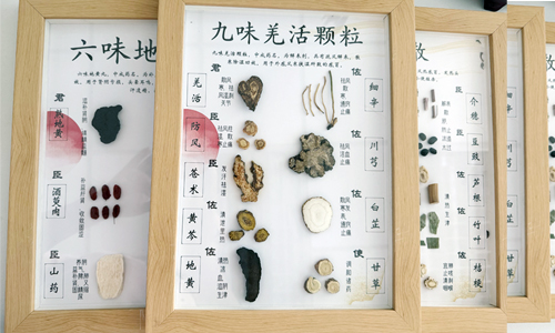 方寸之间见真章：探秘中草药标本的形态