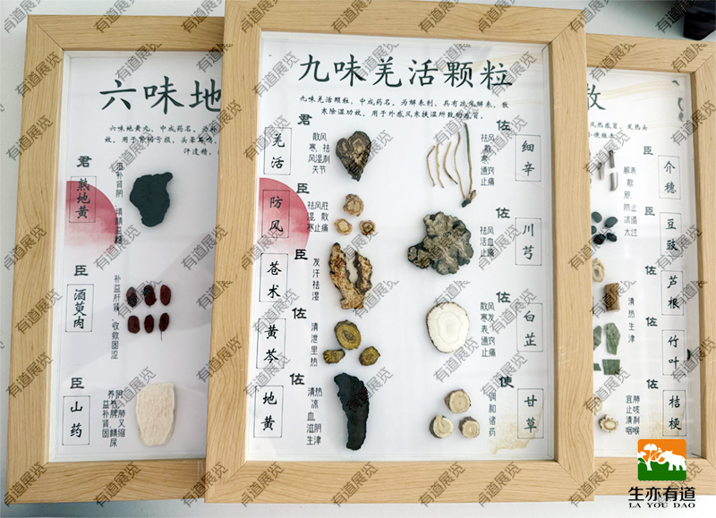 中草药方剂标本