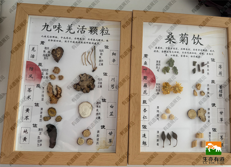 腊叶和方剂标本