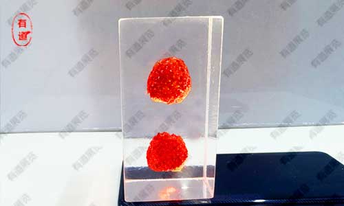 指尖上的自然博物馆：手作透明植物种子包埋标本