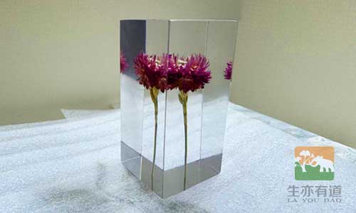 自己动手做琥珀标本：水晶滴胶植物包埋标本的技巧和避坑指南