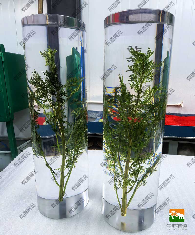 圆柱水晶包埋标本