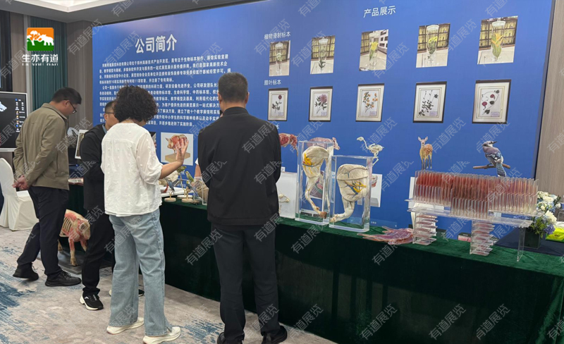 会议现场
