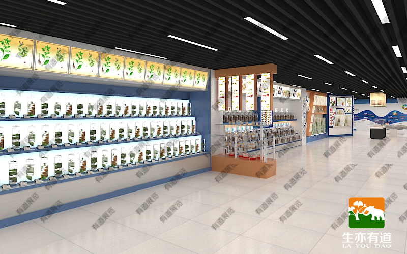 植物标本展示区