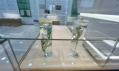 动植物昆虫标本科普：生物标本展厅整体建设解决方案分享